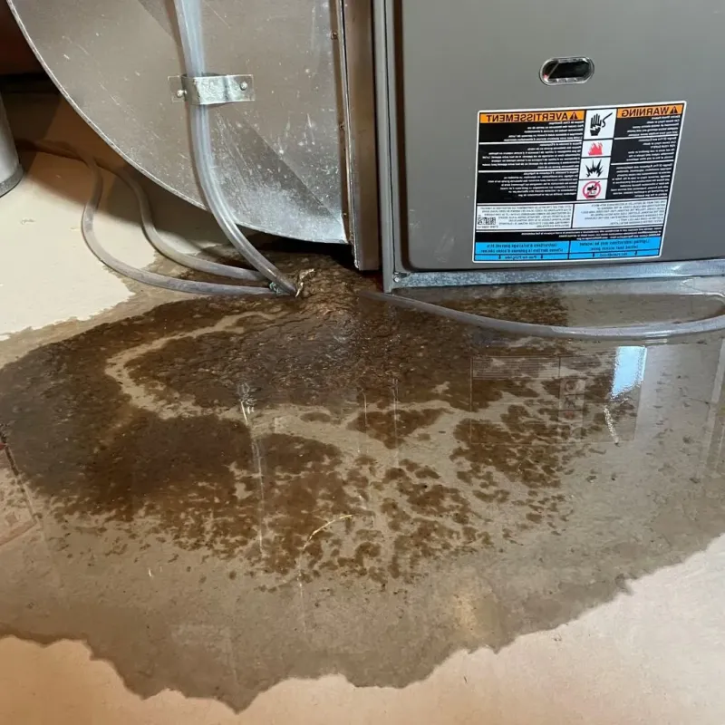 Pipe Burst and Leak Restoration in Jefferson County, IN