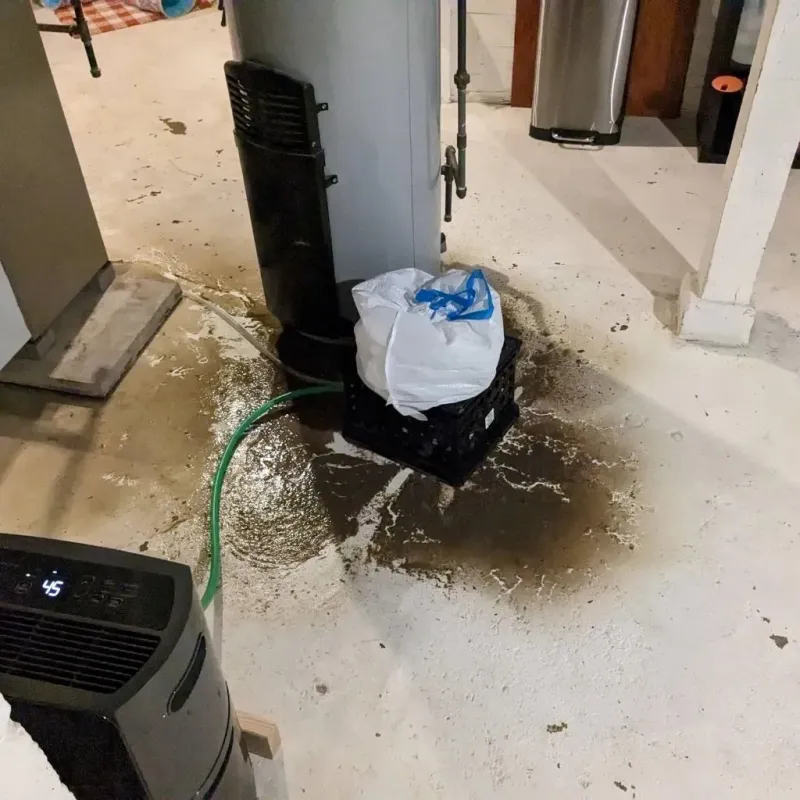 Sewage Backup Cleanup Service in Jefferson County, IN